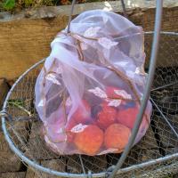 sac à légumes et panier